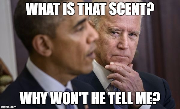 Biden Thinking | WHAT IS THAT SCENT? WHY WON'T HE TELL ME? | image tagged in brain freeze | made w/ Imgflip meme maker