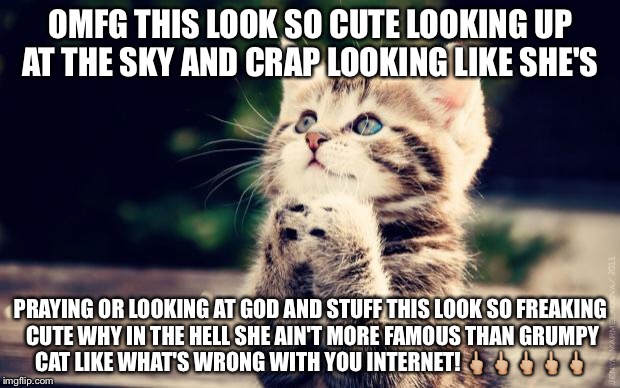 Cute Kitty | OMFG THIS LOOK SO CUTE LOOKING UP AT THE SKY AND CRAP LOOKING LIKE SHE'S; PRAYING OR LOOKING AT GOD AND STUFF THIS LOOK SO FREAKING CUTE WHY IN THE HELL SHE AIN'T MORE FAMOUS THAN GRUMPY CAT LIKE WHAT'S WRONG WITH YOU INTERNET! 🖕🏼🖕🏼🖕🏼🖕🏼🖕🏼 | image tagged in cute kitty | made w/ Imgflip meme maker