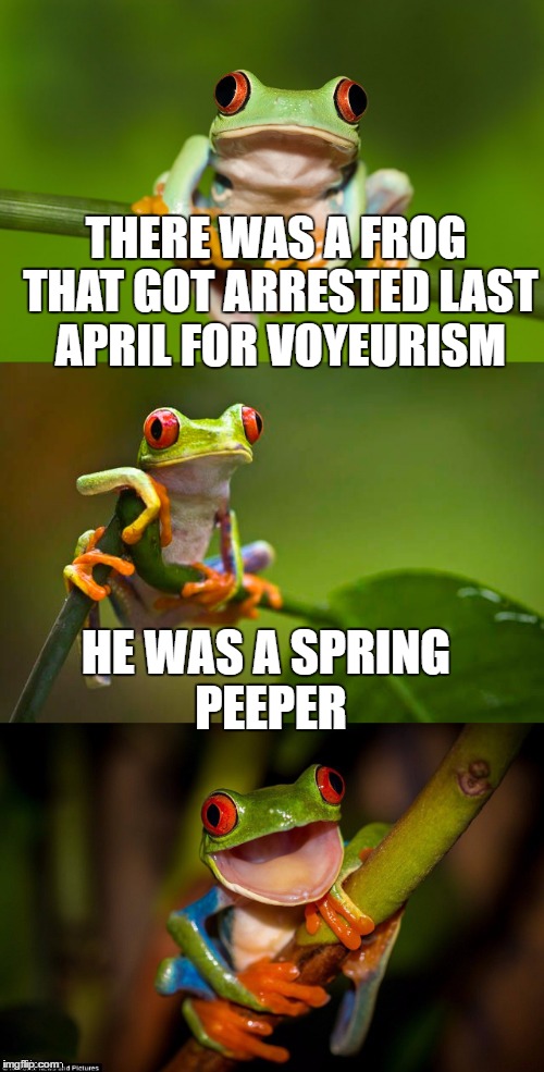 Peeping Frog | THERE WAS A FROG THAT GOT ARRESTED LAST APRIL FOR VOYEURISM HE WAS A SPRING PEEPER | image tagged in frog,memes,bad pun,frog puns,frog pond,pervert | made w/ Imgflip meme maker