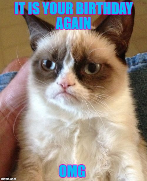Grumpy Cat | IT IS YOUR BIRTHDAY AGAIN; OMG | image tagged in memes,grumpy cat | made w/ Imgflip meme maker