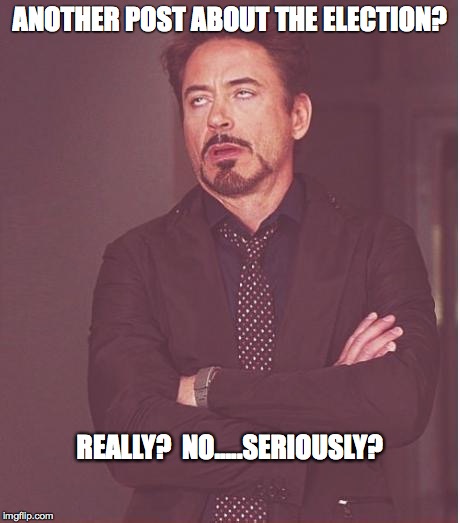 Face You Make Robert Downey Jr | ANOTHER POST ABOUT THE ELECTION? REALLY?  NO.....SERIOUSLY? | image tagged in memes,face you make robert downey jr | made w/ Imgflip meme maker