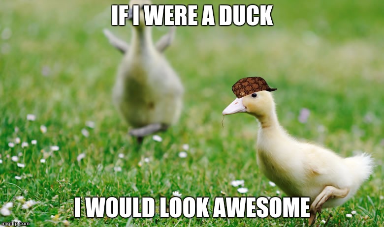 IF I WERE A DUCK; I WOULD LOOK AWESOME | image tagged in poopjpg,scumbag | made w/ Imgflip meme maker