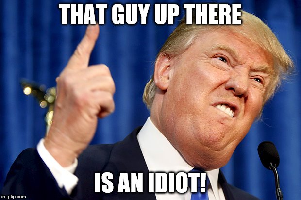 That guy up there... | THAT GUY UP THERE; IS AN IDIOT! | image tagged in donald trump | made w/ Imgflip meme maker