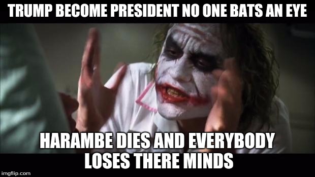 And everybody loses their minds | TRUMP BECOME PRESIDENT NO ONE BATS AN EYE; HARAMBE DIES AND EVERYBODY LOSES THERE MINDS | image tagged in memes,and everybody loses their minds,harambe,donald trump,trump,funny | made w/ Imgflip meme maker