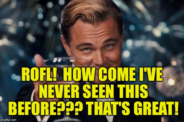 Leonardo Dicaprio Cheers Meme | ROFL!  HOW COME I'VE NEVER SEEN THIS BEFORE??? THAT'S GREAT! | image tagged in memes,leonardo dicaprio cheers | made w/ Imgflip meme maker