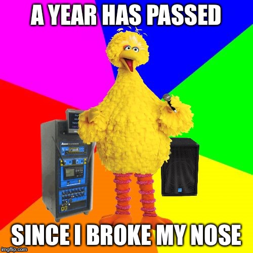 Message in a Bottle by The Police | A YEAR HAS PASSED; SINCE I BROKE MY NOSE | image tagged in wrong lyrics karaoke big bird | made w/ Imgflip meme maker