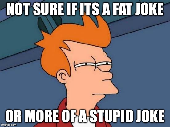 Futurama Fry Meme | NOT SURE IF ITS A FAT JOKE OR MORE OF A STUPID JOKE | image tagged in memes,futurama fry | made w/ Imgflip meme maker