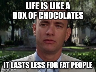 Forest gump |  LIFE IS LIKE A BOX OF CHOCOLATES; IT LASTS LESS FOR FAT PEOPLE | image tagged in forest gump | made w/ Imgflip meme maker