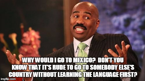 Steve Harvey Meme | WHY WOULD I GO TO MEXICO?  DON'T YOU KNOW THAT IT'S RUDE TO GO TO SOMEBODY ELSE'S COUNTRY WITHOUT LEARNING THE LANGUAGE FIRST? | image tagged in memes,steve harvey | made w/ Imgflip meme maker