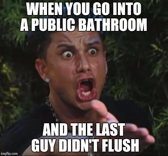 Seriously it's disgusting  | WHEN YOU GO INTO A PUBLIC BATHROOM; AND THE LAST GUY DIDN'T FLUSH | image tagged in memes,dj pauly d | made w/ Imgflip meme maker
