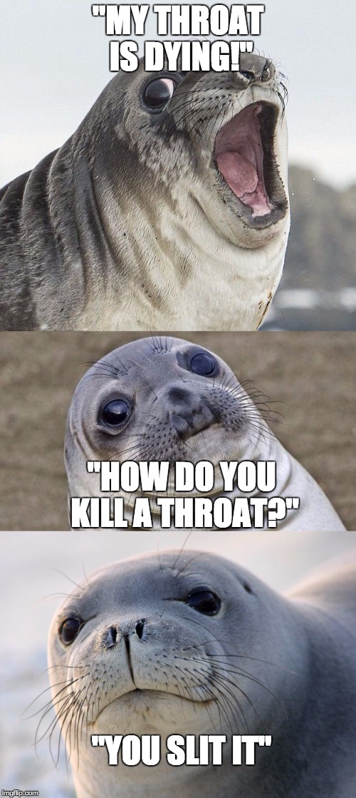 Dead Throat | "MY THROAT IS DYING!"; "HOW DO YOU KILL A THROAT?"; "YOU SLIT IT" | image tagged in seals | made w/ Imgflip meme maker