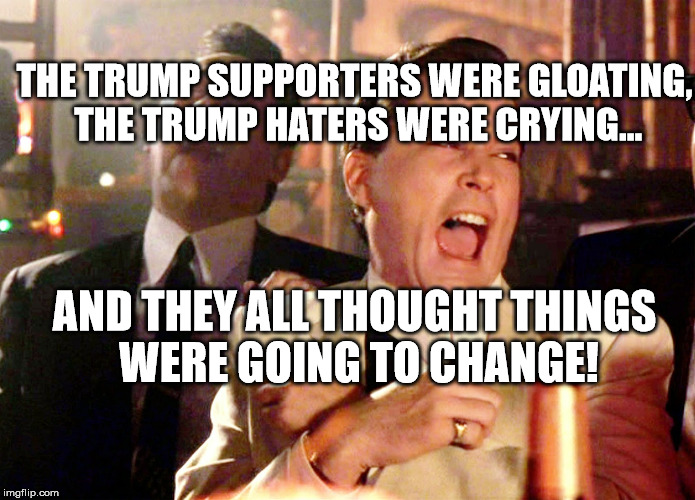 Good Fellas Hilarious Meme | THE TRUMP SUPPORTERS WERE GLOATING, THE TRUMP HATERS WERE CRYING... AND THEY ALL THOUGHT THINGS WERE GOING TO CHANGE! | image tagged in memes,good fellas hilarious | made w/ Imgflip meme maker