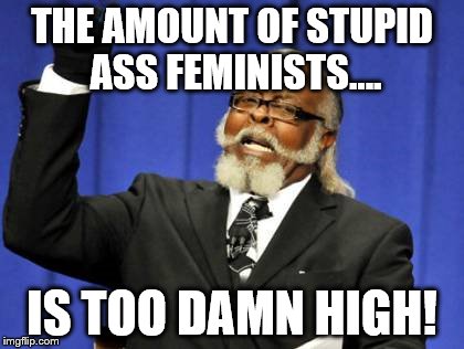 Too Damn High | THE AMOUNT OF STUPID ASS FEMINISTS.... IS TOO DAMN HIGH! | image tagged in memes,too damn high | made w/ Imgflip meme maker