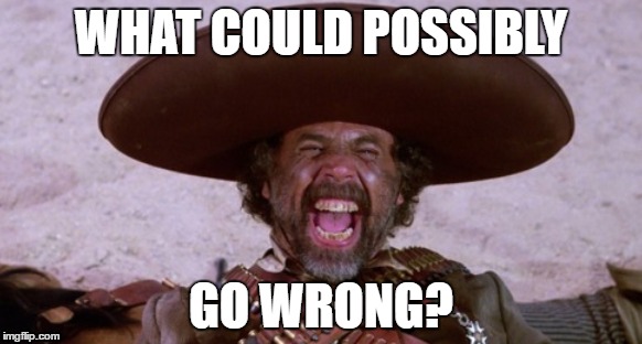 WHAT COULD POSSIBLY; GO WRONG? | image tagged in what could go wrong,el guapo | made w/ Imgflip meme maker
