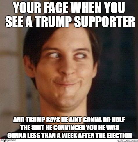 Toby Maguire | YOUR FACE WHEN YOU SEE A TRUMP SUPPORTER; AND TRUMP SAYS HE AINT GONNA DO HALF THE SHIT HE CONVINCED YOU HE WAS GONNA LESS THAN A WEEK AFTER THE ELECTION | image tagged in toby maguire | made w/ Imgflip meme maker