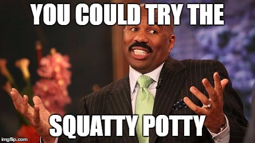 Steve Harvey Meme | YOU COULD TRY THE SQUATTY POTTY | image tagged in memes,steve harvey | made w/ Imgflip meme maker