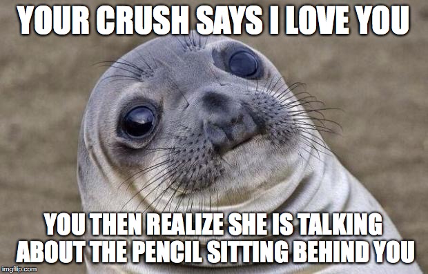 Awkward Moment Sealion | YOUR CRUSH SAYS I LOVE YOU; YOU THEN REALIZE SHE IS TALKING ABOUT THE PENCIL SITTING BEHIND YOU | image tagged in memes,awkward moment sealion | made w/ Imgflip meme maker