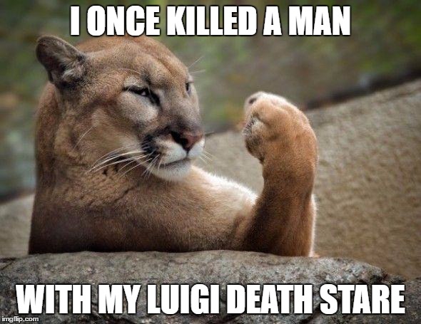 Seriously | I ONCE KILLED A MAN; WITH MY LUIGI DEATH STARE | image tagged in lioness,memes,luigi death stare | made w/ Imgflip meme maker