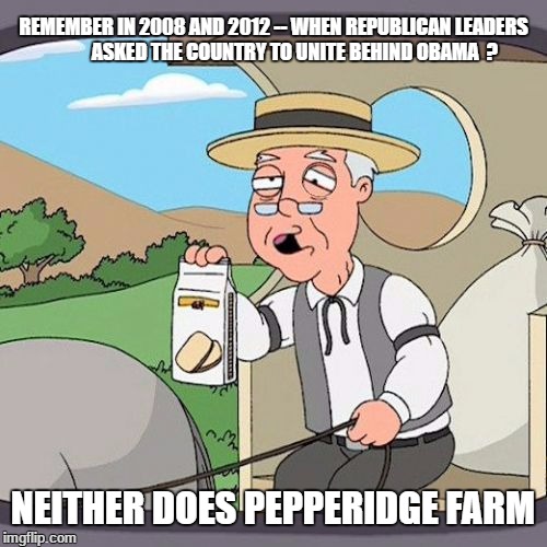 Pepperidge Farm Doesn't Remember | REMEMBER IN 2008 AND 2012 -- WHEN REPUBLICAN LEADERS           ASKED THE COUNTRY TO UNITE BEHIND OBAMA  ? NEITHER DOES PEPPERIDGE FARM | image tagged in pepperidge farm doesn't remember | made w/ Imgflip meme maker