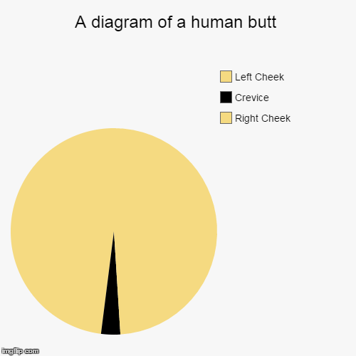 image tagged in funny,pie charts,butts,trhtimmy,lol im so immature,memes | made w/ Imgflip chart maker