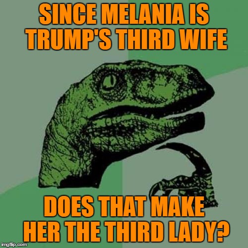 he asks....without looking up past presidents' marriage histories | SINCE MELANIA IS TRUMP'S THIRD WIFE; DOES THAT MAKE HER THE THIRD LADY? | image tagged in memes,philosoraptor,flotus,trump,melania | made w/ Imgflip meme maker