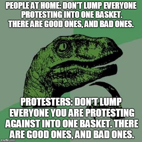 We're all on the same team. | PEOPLE AT HOME: DON'T LUMP EVERYONE PROTESTING INTO ONE BASKET. THERE ARE GOOD ONES, AND BAD ONES. PROTESTERS: DON'T LUMP EVERYONE YOU ARE PROTESTING AGAINST INTO ONE BASKET. THERE ARE GOOD ONES, AND BAD ONES. | image tagged in memes,philosoraptor | made w/ Imgflip meme maker