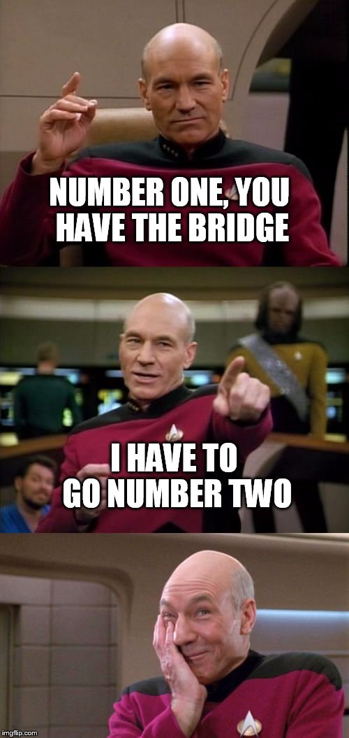 Sometimes childish humor can be funny | NUMBER ONE, YOU HAVE THE BRIDGE; I HAVE TO GO NUMBER TWO | image tagged in bad pun picard | made w/ Imgflip meme maker