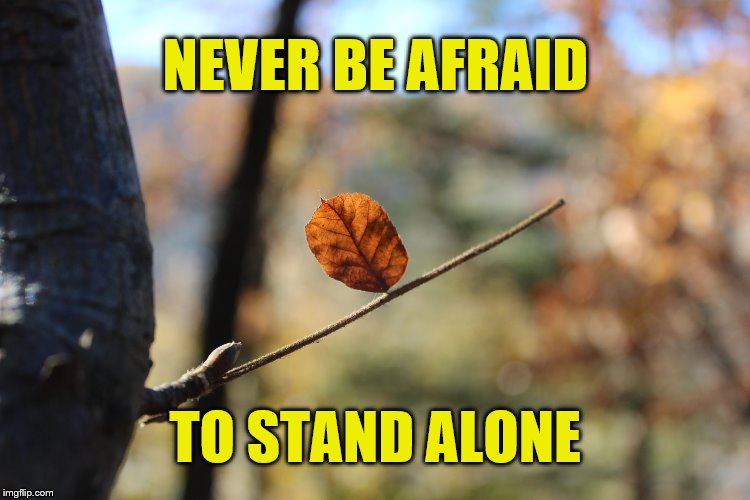 Be Strong | NEVER BE AFRAID; TO STAND ALONE | image tagged in afraid,strong,brave,courage,nature,alone | made w/ Imgflip meme maker