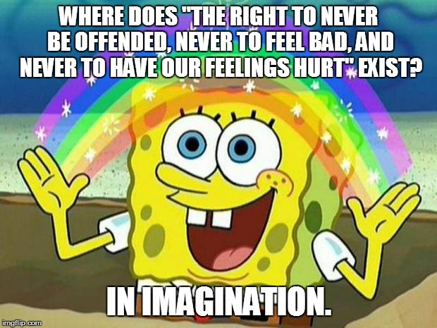 spongebob rainbow | WHERE DOES "THE RIGHT TO NEVER BE OFFENDED, NEVER TO FEEL BAD, AND NEVER TO HAVE OUR FEELINGS HURT" EXIST? IN IMAGINATION. | image tagged in spongebob rainbow | made w/ Imgflip meme maker