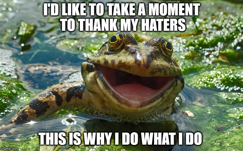 I'D LIKE TO TAKE A MOMENT TO THANK MY HATERS; THIS IS WHY I DO WHAT I DO | image tagged in happy frog | made w/ Imgflip meme maker