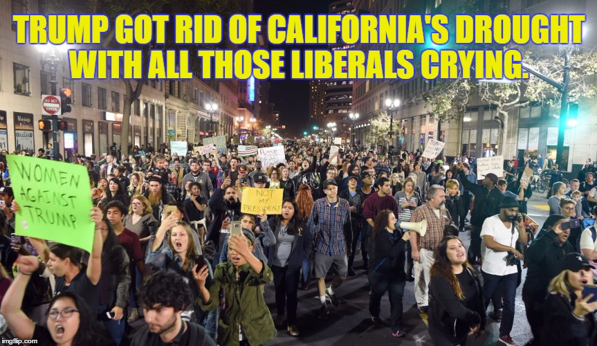 Donald Trump The Job Creator  | TRUMP GOT RID OF CALIFORNIA'S DROUGHT WITH ALL THOSE LIBERALS CRYING. | image tagged in memes,political meme,political correctness,trump protestors,trump riot,wtf hillary | made w/ Imgflip meme maker