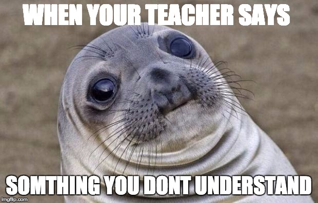 Awkward Moment Sealion Meme | WHEN YOUR TEACHER SAYS; SOMTHING YOU DONT UNDERSTAND | image tagged in memes,awkward moment sealion | made w/ Imgflip meme maker