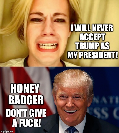 I WILL NEVER ACCEPT TRUMP AS MY PRESIDENT! DON'T GIVE A F**K! HONEY BADGER | made w/ Imgflip meme maker