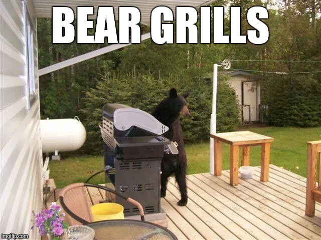 Pun Bear | BEAR GRILLS | image tagged in memes,grills,bear,cooking,puns | made w/ Imgflip meme maker