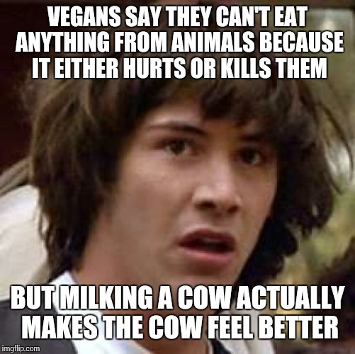Hey this just proves how stupid vegans are | VEGANS SAY THEY CAN'T EAT ANYTHING FROM ANIMALS BECAUSE IT EITHER HURTS OR KILLS THEM; BUT MILKING A COW ACTUALLY MAKES THE COW FEEL BETTER | image tagged in memes,conspiracy keanu | made w/ Imgflip meme maker