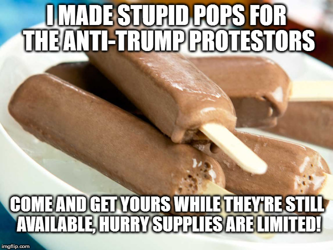 I MADE STUPID POPS FOR THE ANTI-TRUMP PROTESTORS; COME AND GET YOURS WHILE THEY'RE STILL AVAILABLE, HURRY SUPPLIES ARE LIMITED! | image tagged in fudge pops | made w/ Imgflip meme maker