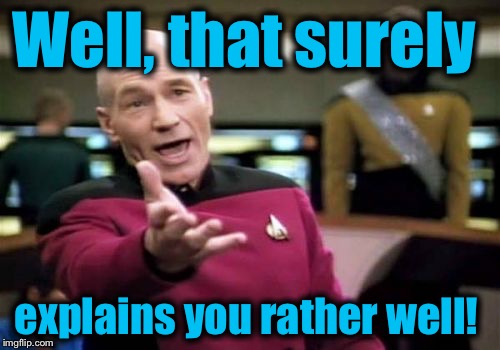 Picard Wtf Meme | Well, that surely explains you rather well! | image tagged in memes,picard wtf | made w/ Imgflip meme maker