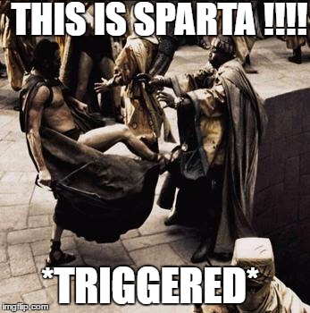 Spartan kick | THIS IS SPARTA !!!! *TRIGGERED* | image tagged in spartan kick | made w/ Imgflip meme maker