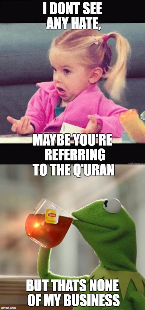 I DONT SEE ANY HATE, BUT THATS NONE OF MY BUSINESS MAYBE YOU'RE  REFERRING TO THE Q'URAN | made w/ Imgflip meme maker
