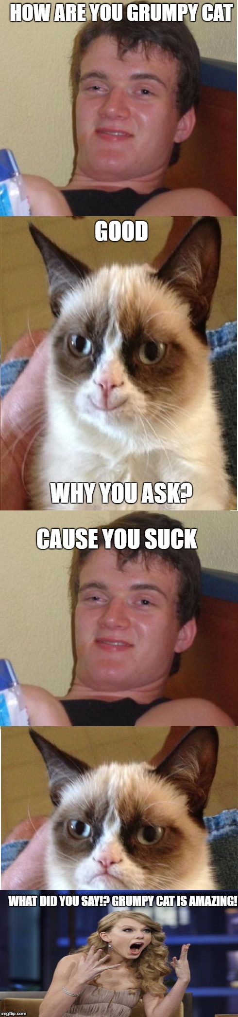 10guy Grumpy Cat | HOW ARE YOU GRUMPY CAT; GOOD; WHY YOU ASK? CAUSE YOU SUCK; WHAT DID YOU SAY!? GRUMPY CAT IS AMAZING! | image tagged in 10guy grumpy cat | made w/ Imgflip meme maker