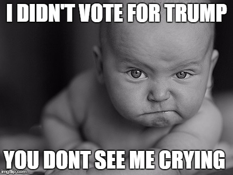 Angry baby | I DIDN'T VOTE FOR TRUMP; YOU DONT SEE ME CRYING | image tagged in snowflake,protesters,trump | made w/ Imgflip meme maker