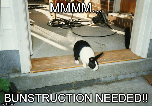 Bunstruction | MMMM... BUNSTRUCTION NEEDED!! | image tagged in memes | made w/ Imgflip meme maker