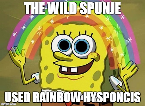 Pokemon spunje new pokemon. | THE WILD SPUNJE; USED RAINBOW HYSPONCIS | image tagged in memes,imagination spongebob | made w/ Imgflip meme maker