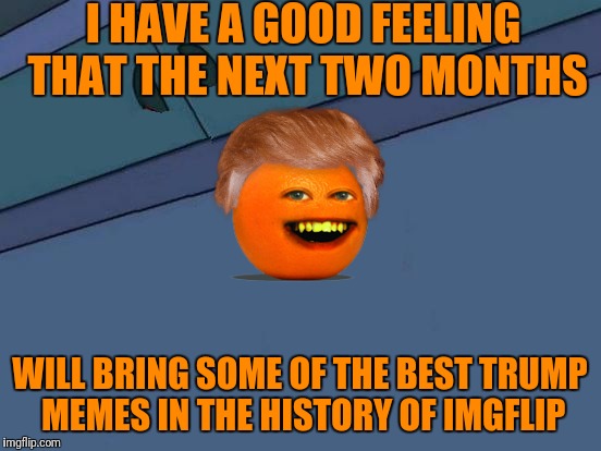 Futurama Fry Blank | I HAVE A GOOD FEELING THAT THE NEXT TWO MONTHS WILL BRING SOME OF THE BEST TRUMP MEMES IN THE HISTORY OF IMGFLIP | image tagged in futurama fry blank | made w/ Imgflip meme maker