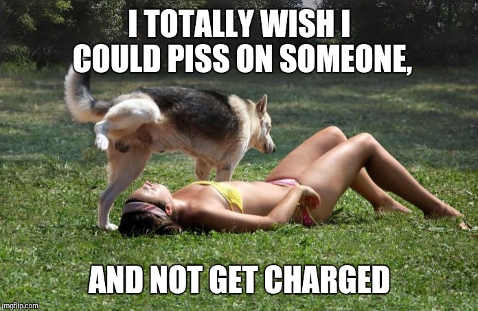I TOTALLY WISH I COULD PISS ON SOMEONE, AND NOT GET CHARGED | made w/ Imgflip meme maker