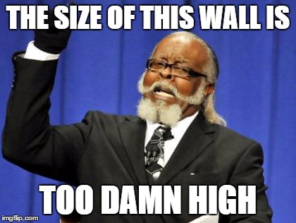 The Mexican president isn't happy about Donald's recent decisions | THE SIZE OF THIS WALL IS; TOO DAMN HIGH | image tagged in memes,too damn high | made w/ Imgflip meme maker