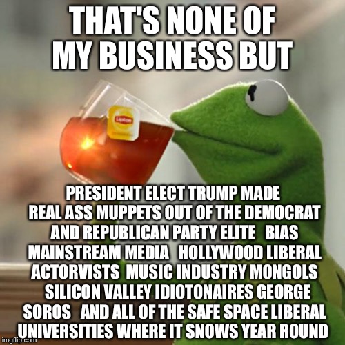 TRUMPUPPETS   | THAT'S NONE OF MY BUSINESS BUT; PRESIDENT ELECT TRUMP MADE REAL ASS MUPPETS OUT OF THE DEMOCRAT AND REPUBLICAN PARTY ELITE   BIAS MAINSTREAM MEDIA   HOLLYWOOD LIBERAL ACTORVISTS  MUSIC INDUSTRY MONGOLS   SILICON VALLEY IDIOTONAIRES GEORGE SOROS   AND ALL OF THE SAFE SPACE LIBERAL UNIVERSITIES WHERE IT SNOWS YEAR ROUND | image tagged in memes,but thats none of my business,trump,president,elected,liberals | made w/ Imgflip meme maker