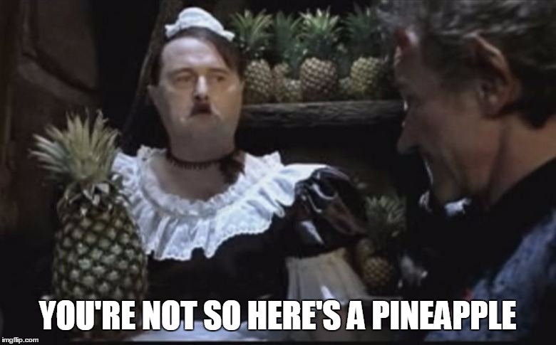 Hitler Pineapple | YOU'RE NOT SO HERE'S A PINEAPPLE | image tagged in hitler pineapple | made w/ Imgflip meme maker