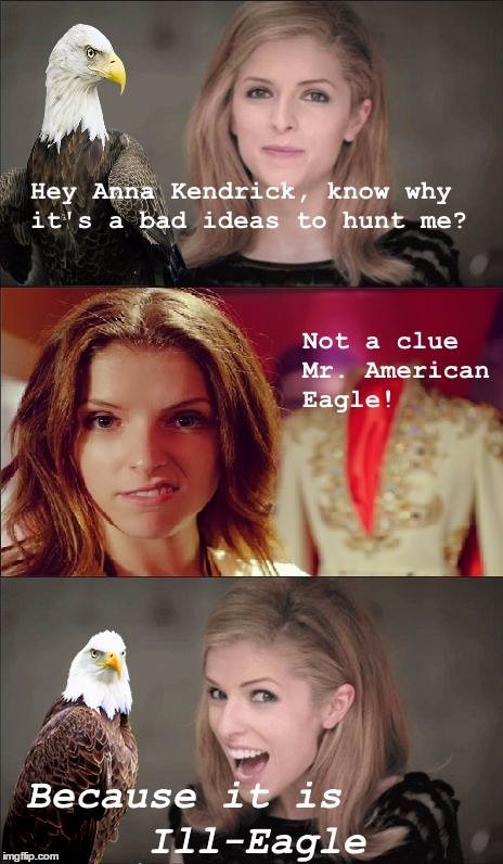 Anna Kendrick, Naturalist | 6 | image tagged in memes,bad pun anna kendrick,funny,eagle | made w/ Imgflip meme maker