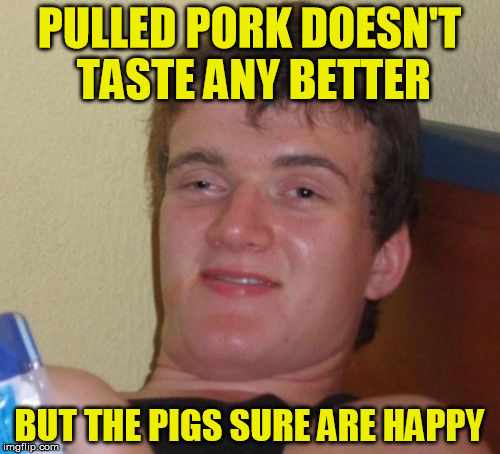 10 Guy Meme | PULLED PORK DOESN'T TASTE ANY BETTER BUT THE PIGS SURE ARE HAPPY | image tagged in memes,10 guy | made w/ Imgflip meme maker